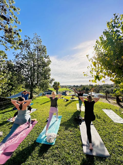 Mallorca: Holistic Private Yoga and Meditation Retreat - Arriving at the Mallorquin Finca, Green Gate Welcome Included