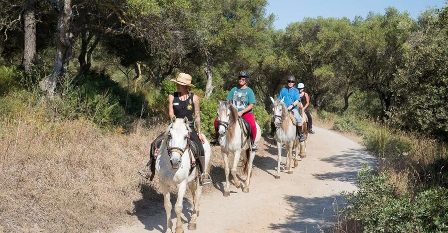 Mallorca: Horseback Riding Excursion and Wine Tasting - Quick hits on Ranxo Ses Roques in Alcudia