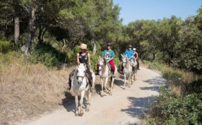 Horseback Riding Excursion and Wine Tasting