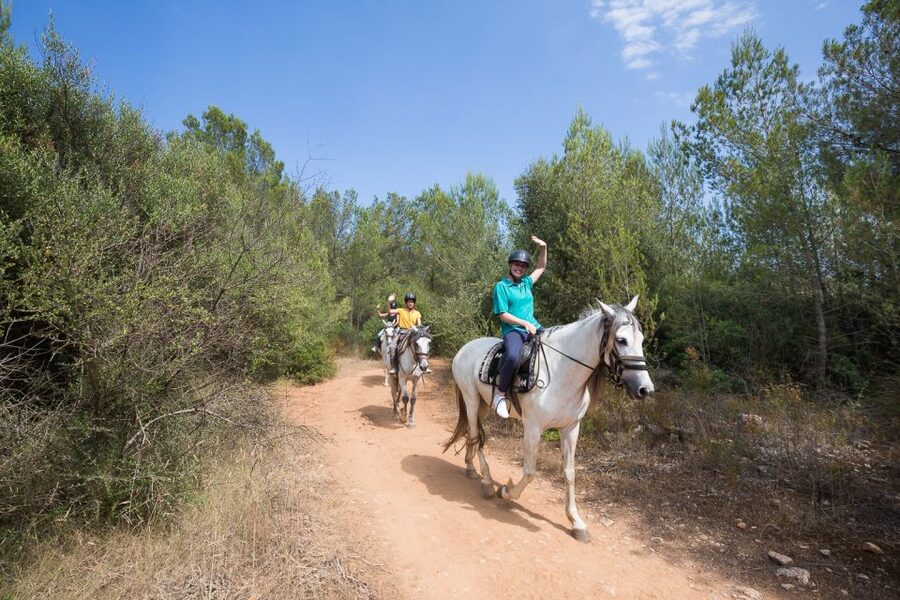 Mallorca: Horseback Riding Excursion and Wine Tasting - FAQ