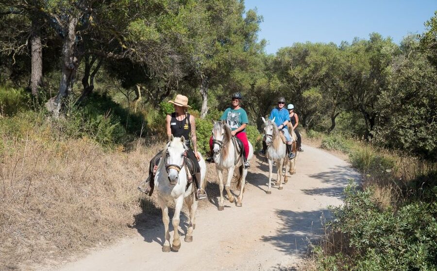 Mallorca: Horseback Riding Excursion and Wine Tasting - Getting to RANXO SES ROQUES, and the meeting point that matters