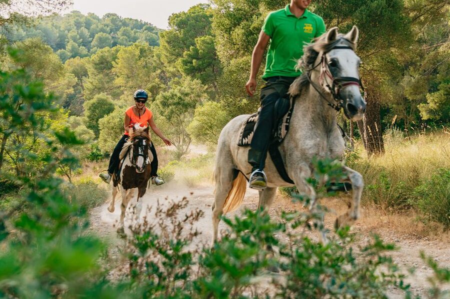 Mallorca: Horseback Riding Experience with Food Options - First Impressions at Ranxo Ses Roques, Petting Farm Energy