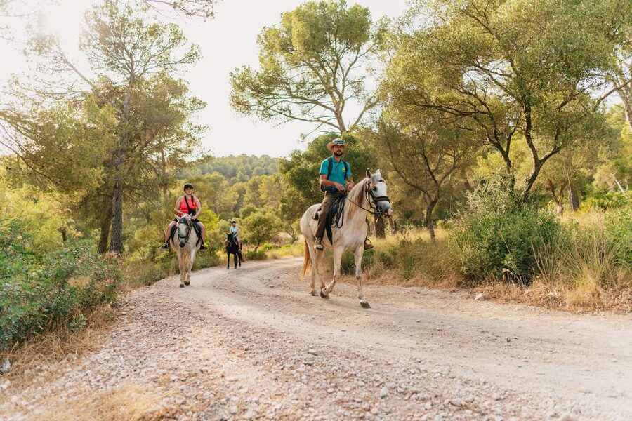 Mallorca: Horseback Riding Experience with Food Options - Picking the 1-Hour or 2-Hour Option (And Getting Your Money’s Worth)