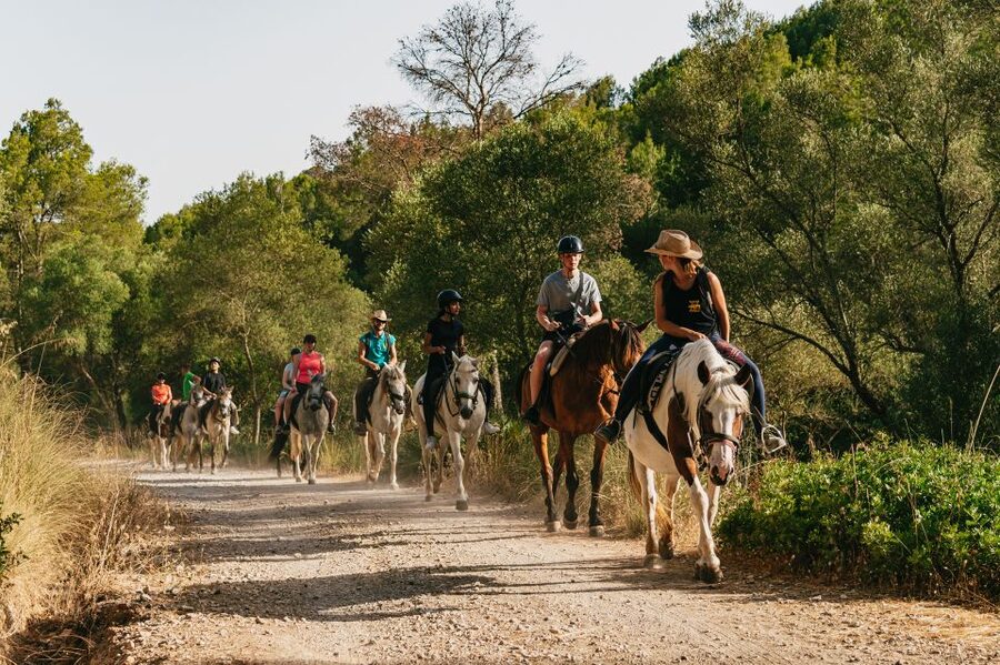 Mallorca: Horseback Riding Experience with Food Options - Food After Riding, Mallorcan Brunch Tasting or a Handmade Burger