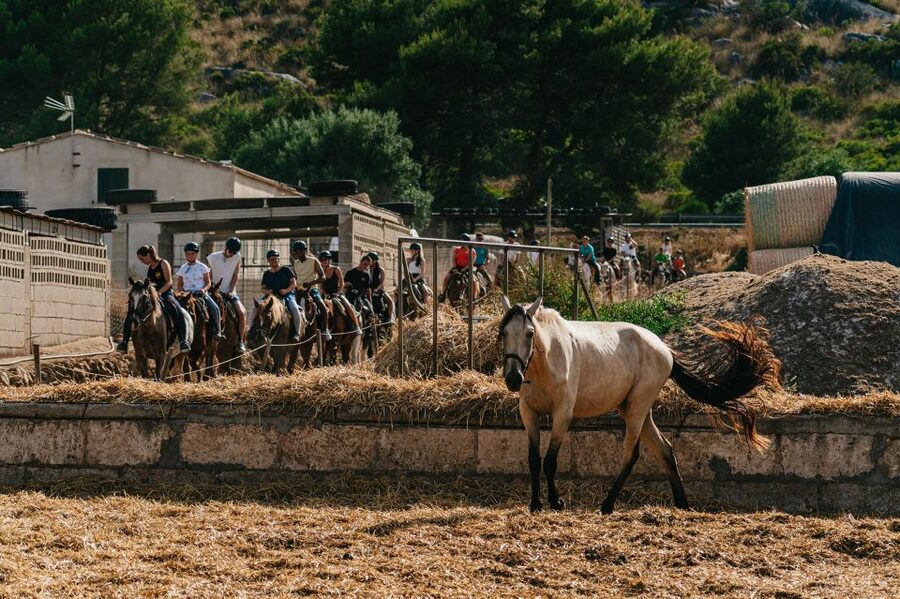Mallorca: Horseback Riding Experience with Food Options - Safety, Limits, and When Weather Changes the Plan