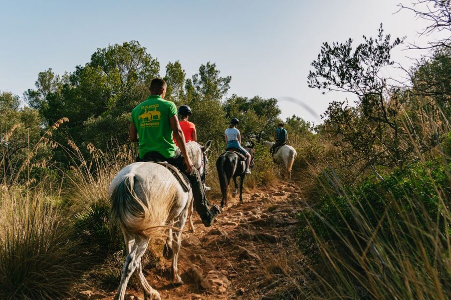 Mallorca: Horseback Riding Experience with Food Options - Staff and Horse Care, The Details People Actually Notice