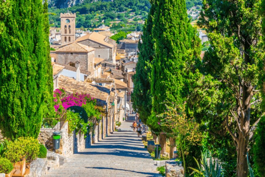 Mallorca: Instafamous Tour of Palma and North coast - Why This Tour Feels VIP Without Being Complicated