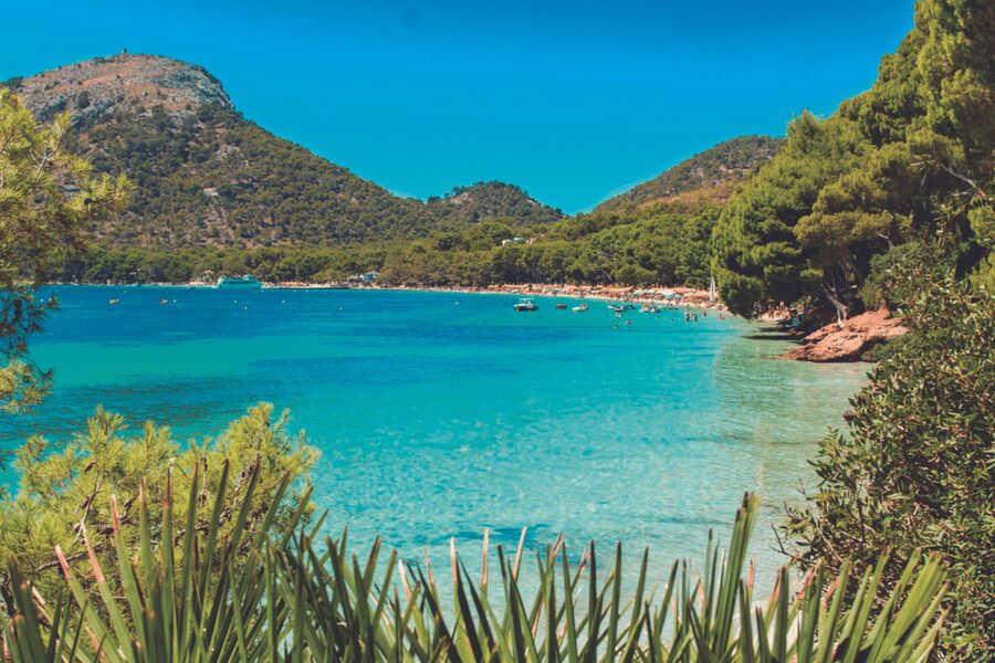 Mallorca: Instafamous Tour of Palma and North coast - Getting Real Value From a $757 Per Person Day