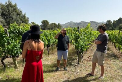 Mallorca Instafamous WEST: Valldemossa, Wine Experience and Palma