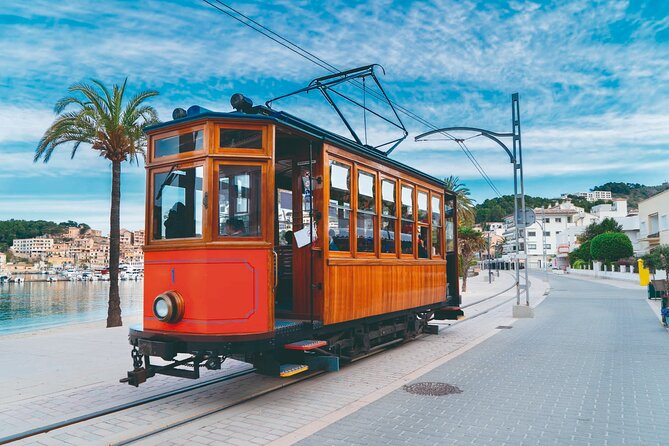Mallorca Instafamous WEST: Valldemossa, Wine Experience and Palma - Orange plantation driving, then Sa Foradada and Son Marroig viewpoints