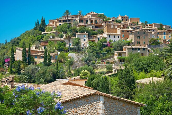 Mallorca Instafamous WEST: Valldemossa, Wine Experience and Palma - Wine in the mountains, plus pa amb oli