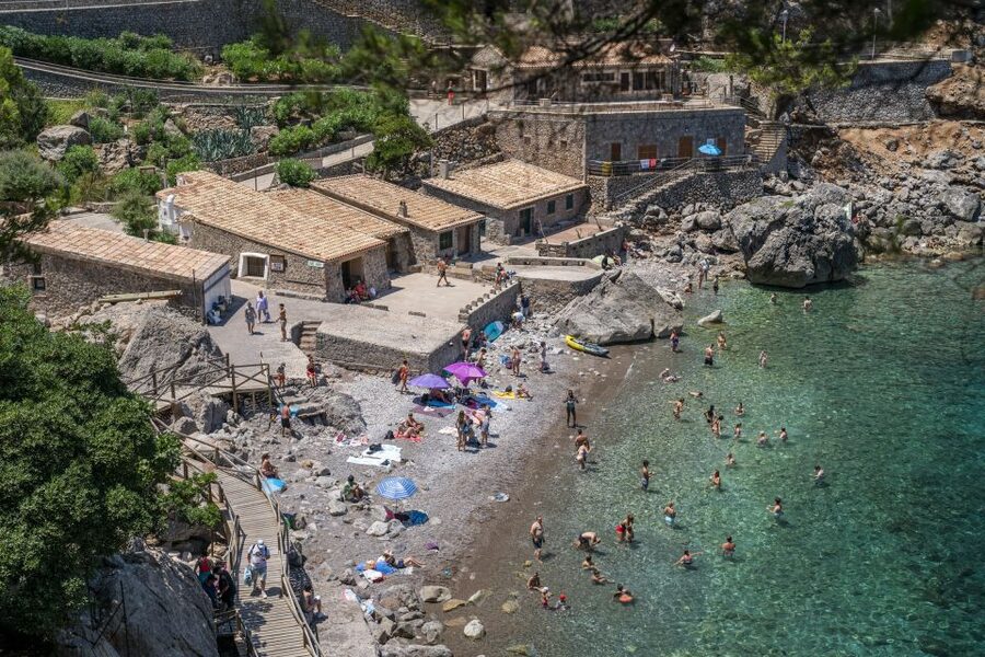 Mallorca: Island Tour with Boat, Tram & Train from the South - Key Highlights I’d Prioritize