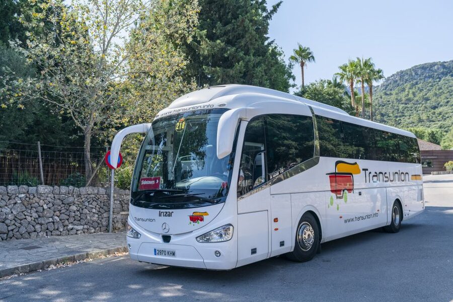 Mallorca: Island Tour with Boat, Tram & Train from the South - The Wooden Electric Train Ride Back: Tunnels, Lemon Groves, and Big Windows