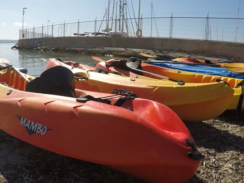 Mallorca: Kayak Rental - Swimming and snorkeling with Palma in the background