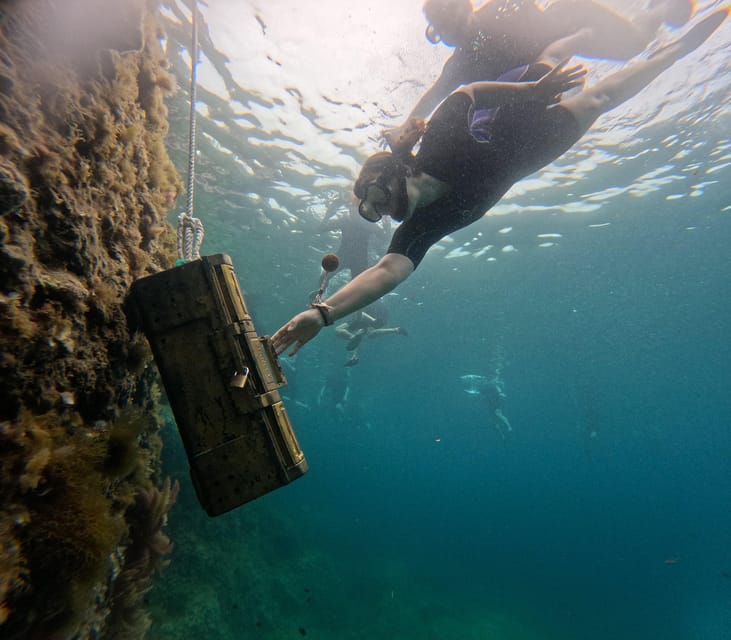 Mallorca: Kayaking, Sea Cave, Cliff Jumping & Snorkel Tour - Should you book this Mallorca kayak, sea cave, cliff jump, snorkel tour?