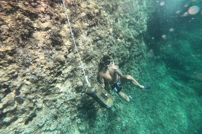 Mallorca: Kayaking, Sea Cave, Cliff Jumping & Snorkel Tour - Why this Mallorca mix of kayaking, sea cave, snorkeling, and cliff jumping works