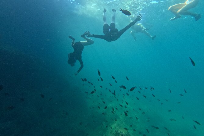 Mallorca: Kayaking, Sea Cave, Cliff Jumping & Snorkel Tour - Photos, videos, and why the camera part matters more than you think