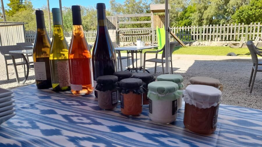Mallorca: Local Wines & Foods Tasting - Cheese on Mallorca: goats, cows, and oveja roja