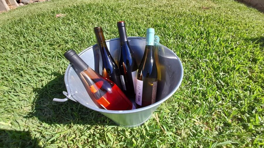 Mallorca: Local Wines & Foods Tasting - Practical tips to make the most of each pour