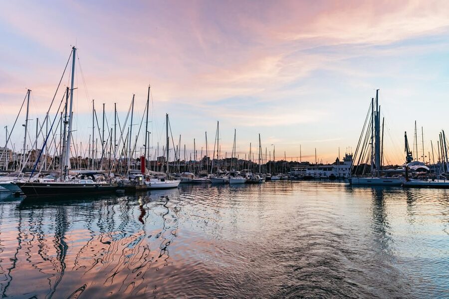 Mallorca: Midday or Sunset Sailing with Snacks and Open Bar - Key moments you should know