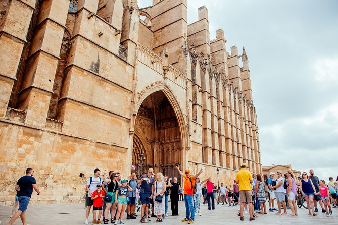 Mallorca Old Town Walking Tour with Cathedral Skip The Line Tour - The Cort Olive Tree and Palma’s symbol of rootedness