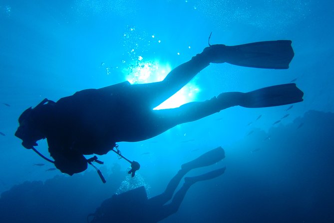 Mallorca: Open Water Diver Course - Key things to know before you go