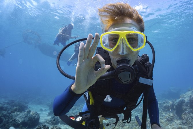 Mallorca: Open Water Diver Course - Pre-course online theory: show up knowing what you are doing