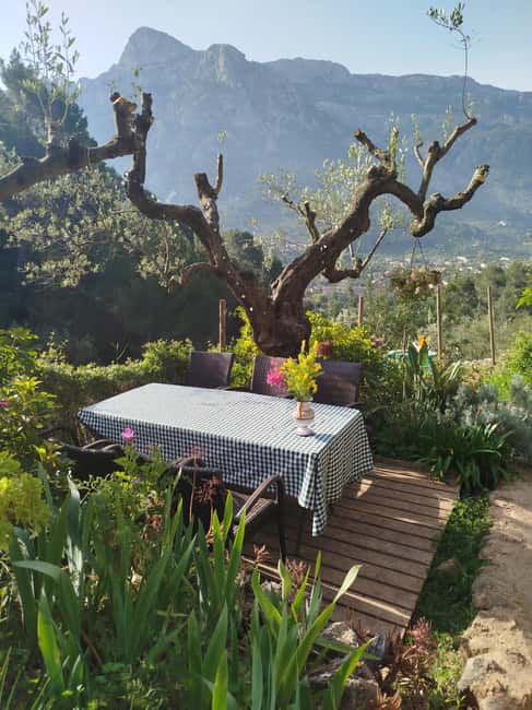 Mallorca: Paella Cooking Class in the Tramuntana Mountains - Key highlights at a glance