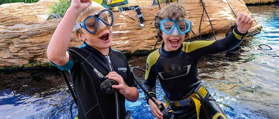 Mallorca: Palma Aquarium Entry Ticket w/ Optional 3D Cinema - Key things you will notice right away