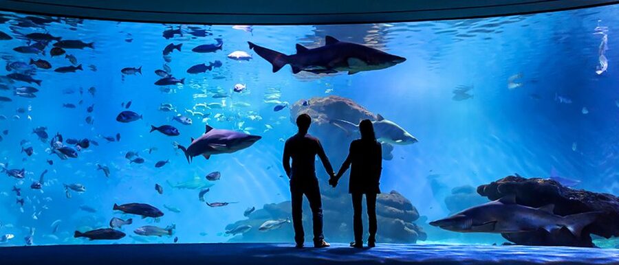 Mallorca: Palma Aquarium Entry Ticket w/ Optional 3D Cinema - Who should book this Palma Aquarium ticket?