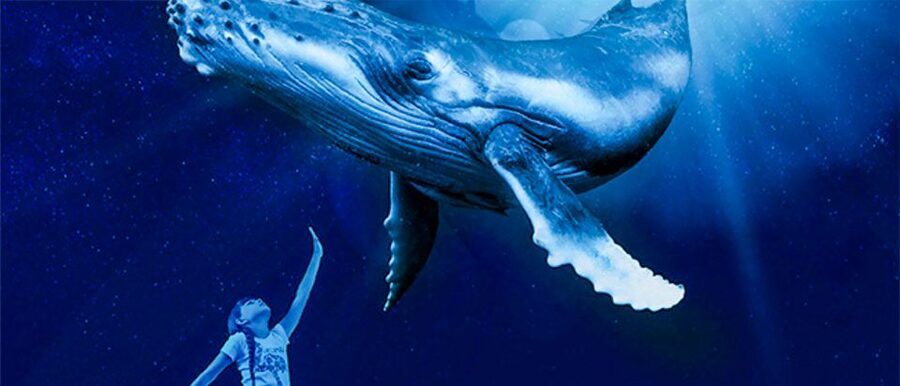 Mallorca: Palma Aquarium Entry Ticket w/ Optional 3D Cinema - Palma Aquarium in Palma de Mallorca: what your ticket really buys