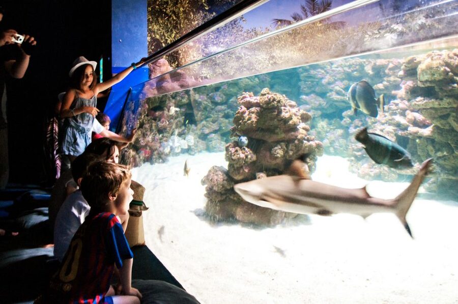 Mallorca: Palma Aquarium Entry Ticket w/ Optional 3D Cinema - Daily feedings: why the schedule makes the aquarium feel alive