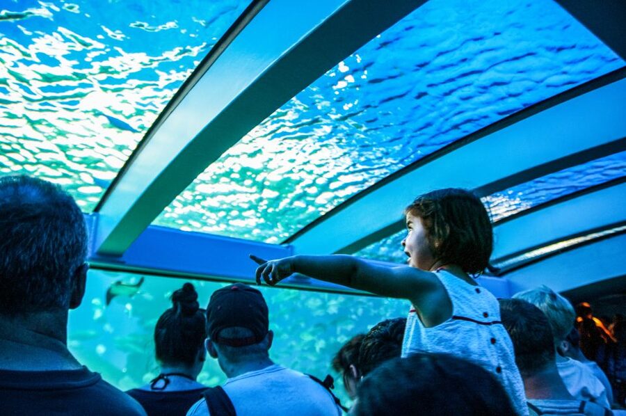 Mallorca: Palma Aquarium Entry Ticket w/ Optional 3D Cinema - Glass-bottom viewing, jungle vibes, and the splash zone feel