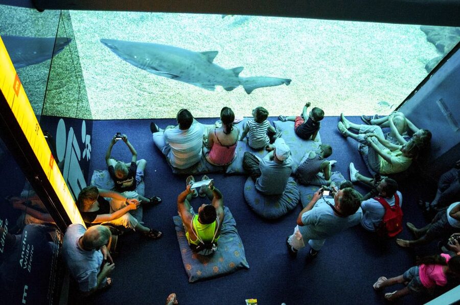Mallorca: Palma Aquarium Entry Ticket w/ Optional 3D Cinema - Aquadome 3D Cinema: when the whale show is a win