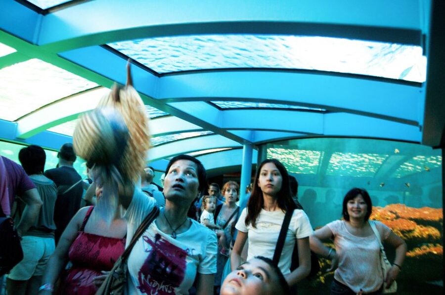 Mallorca: Palma Aquarium Entry Ticket w/ Optional 3D Cinema - Timing, crowds, and parking: how to avoid a rough day