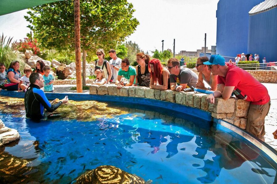Mallorca: Palma Aquarium Entry Ticket w/ Optional 3D Cinema - Food and breaks: keep it simple and stay comfortable