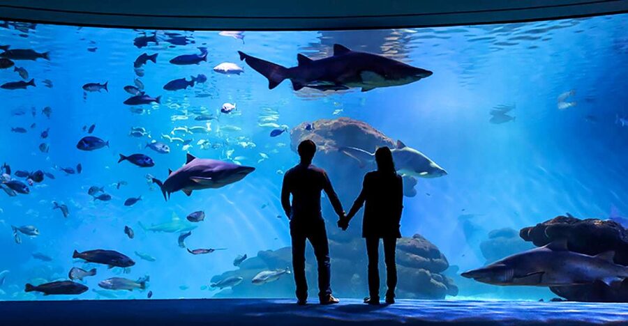Mallorca: Palma Aquarium Entry Ticket w/ Optional 3D Cinema - Big Blue and the coral halls: the two headline stops