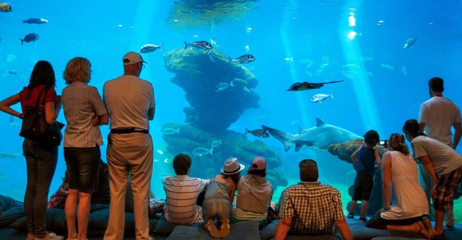 Mallorca: Palma Aquarium with Transfers, Guide & Fast Entry - Key highlights you will care about