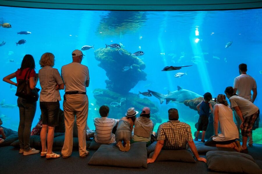 Mallorca: Palma Aquarium with Transfers, Guide & Fast Entry - From Alcúdia to Palma Aquarium in one easy, guided day