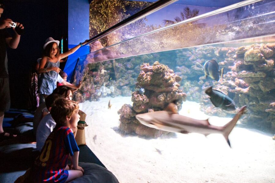 Mallorca: Palma Aquarium with Transfers, Guide & Fast Entry - Planning your time inside: Mediterranean Sea to Jungle to Gardens