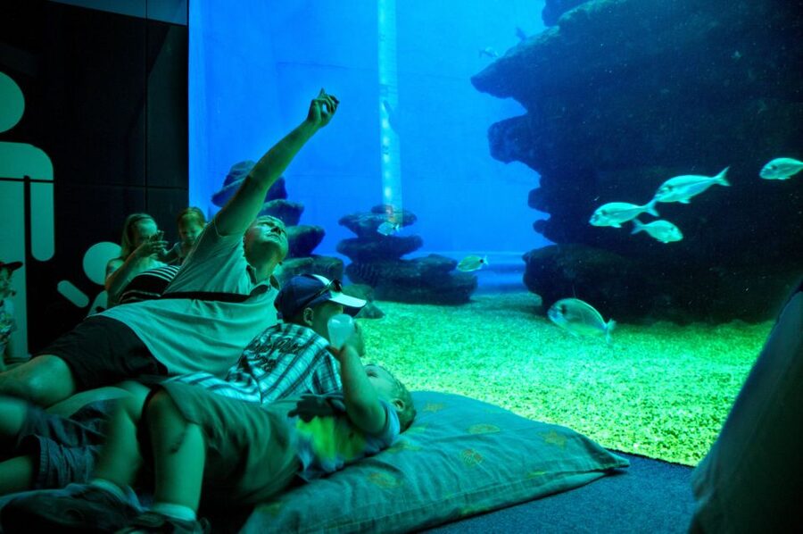 Mallorca: Palma Aquarium with Transfers, Guide & Fast Entry - The Big Blue shark tank: Europe’s deepest, with real fan focus