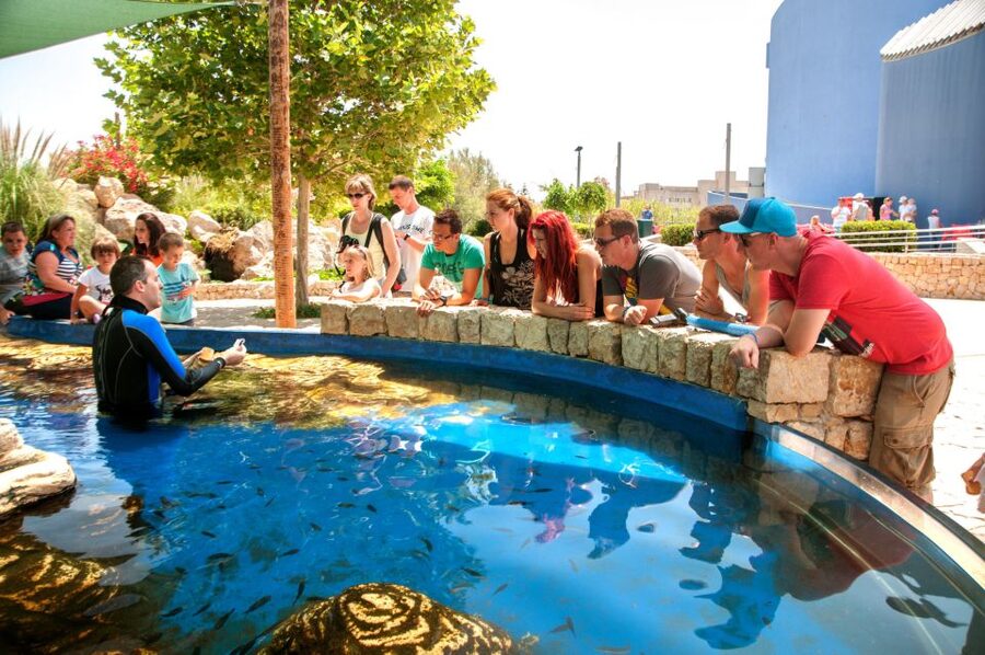 Mallorca: Palma Aquarium with Transfers, Guide & Fast Entry - Lunch and breaks near Playa de Palma, with re-entry built in