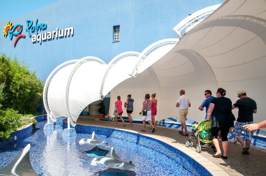 Mallorca: Palma Aquarium with Transfers, Guide & Fast Entry - Optional extras: 3D cinema, AquaVision, and special add-ons