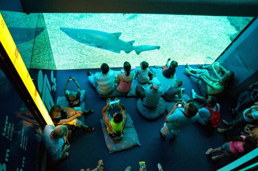 Mallorca: Palma Aquarium with Transfers, Guide & Fast Entry - Value check: does $57 feel fair for an 8-hour day?