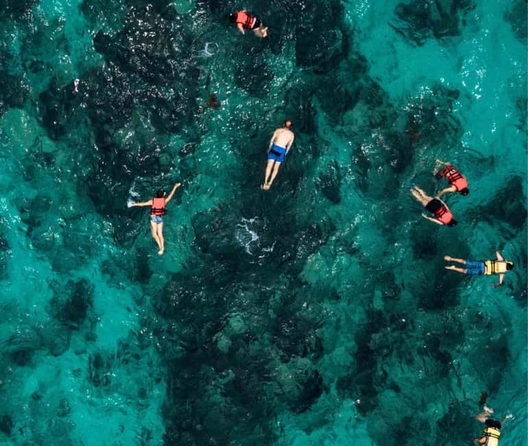 Mallorca: Palma Boat Tour & Snorkeling with Drink Included - Crew energy and marine-life talk you can actually use