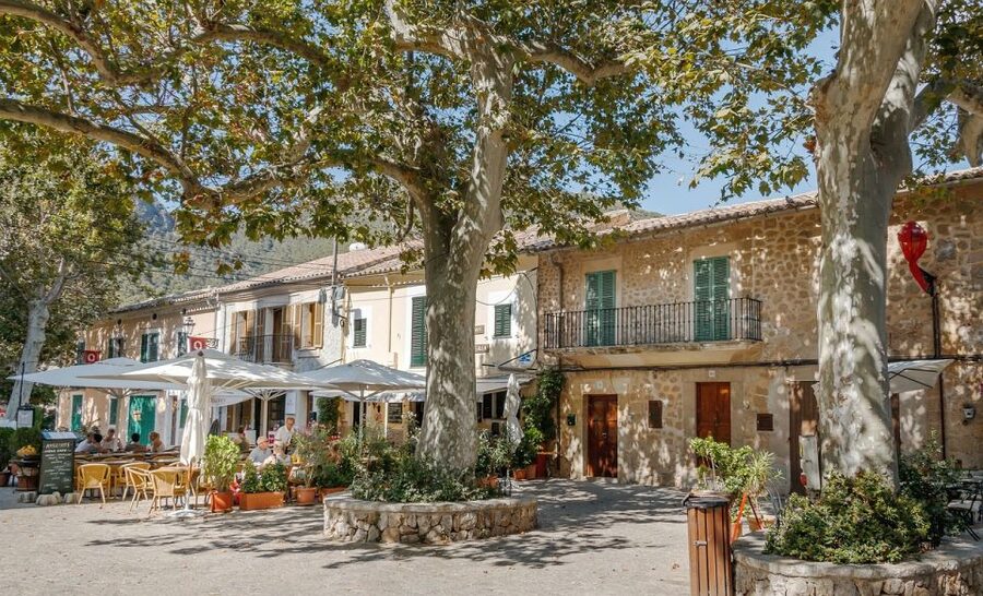 Mallorca: Premium Wine Experience, Tasting and Fine Foods - Key highlights to look for