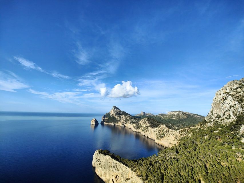 Mallorca: Premium Wine Experience, Tasting and Fine Foods - Where this Mallorca wine experience happens, and why it matters