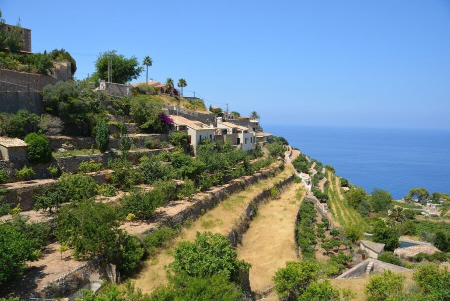 Mallorca: Premium Wine Experience, Tasting and Fine Foods - Wine tasting: what makes it feel premium, not basic