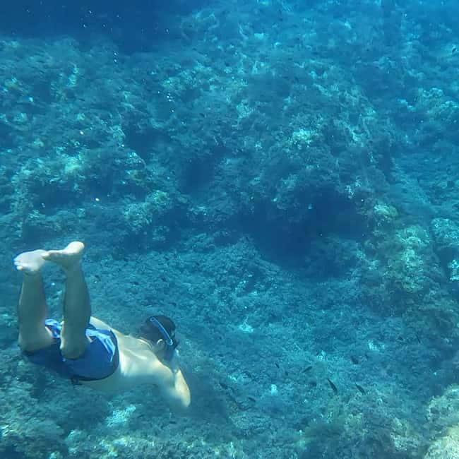 Mallorca: Private Boat Tour with Snorkeling & Snacks - Route highlights: El Toro Island, Cala Bella Dona, and Cala Figuera
