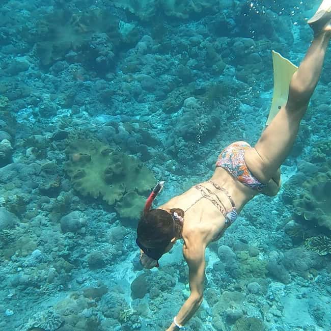 Mallorca: Private Boat Tour with Snorkeling & Snacks - Who will love this most, and who might want to look elsewhere